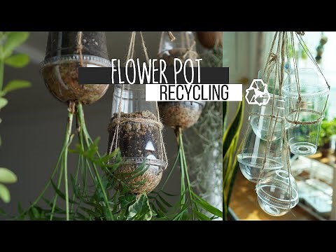 테이크아웃 컵을 이용한 화분 만들기 I 플라스틱 재활용 🥤 Plastic Flower Pot & Plastic Recycling♻️