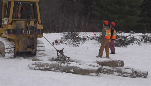 CTE students put down roots in forestry careers