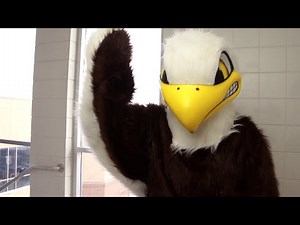 Fierce Eagle Mascot Costume