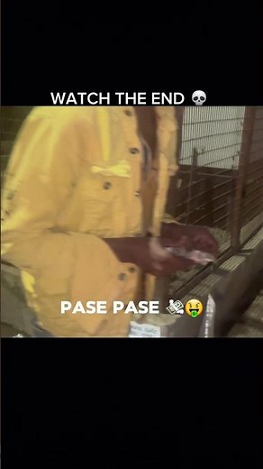 HAZAR RUPEES MILE GAYE 💸🤑🤯#darkmemes #comedy #explorepage #memes