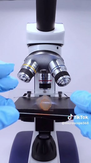 Exploring Vegetable Juices in Japan