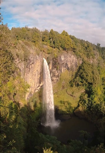 This is the most beautiful waterfall in New Zealand 🤯😍 • Bridal Veil Falls, Waikato Would you have guessed the height of this waterfall is 55 meters? 😳 #travelcouple #adventurecouple #newzealand #roadtripnz #waterfall #bridalveilfalls #northislandnz