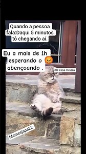 aja paciência #memes #memes #flaviomemes #humor #piadasrapidas