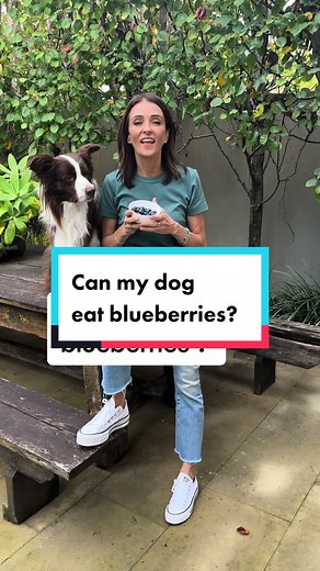 Can Dogs Eat Blueberries? The Safe & Healthy Treat