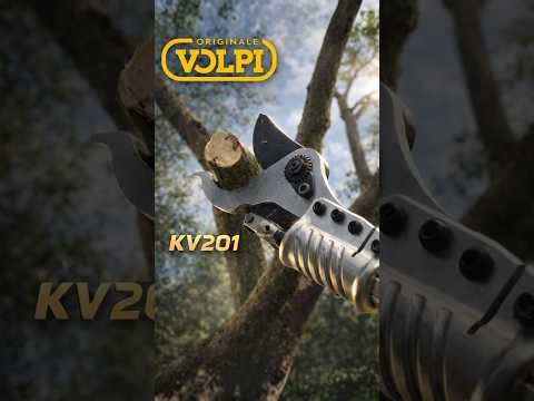 Δοκιμάζοντας το κονταροψάλιδο μπαταρίας Volpi KV201