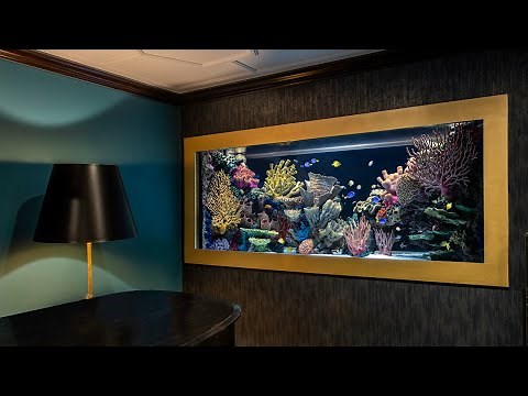 In Wall Aquarium Build - 600 gallon Saltwater See Through Fish Tank