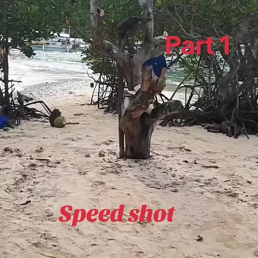 Rescuing an Aggressive Philippine Long Tailed Macaque