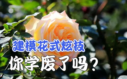 【3DMAX建模】超详细小白必备零基础课堂，一朵玫瑰花的制作过程，必须收藏