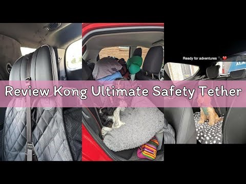 Review Kong Ultimate Safety Tether