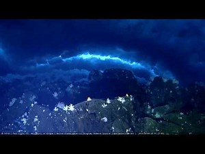 Antarctica LIVE underwater video - McMurdo Oceanographic Observatory
