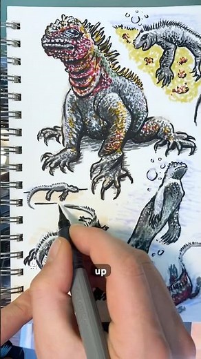 Day 65: Marine Iguanas! Facts from the Galapagos Conservation Trust.