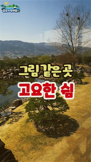 그림 같은 정원 / 구례 반아원 플라타너스'