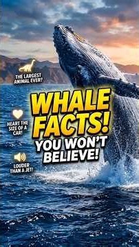 What Happens When a Blue Whale Dies? || दुनिया की सबसे बड़ी मछली का रहस्य 🐋 #whale #shorts