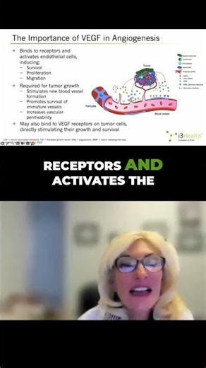 Angiogenesis: The Science Behind Blood Vessel Formation Explained