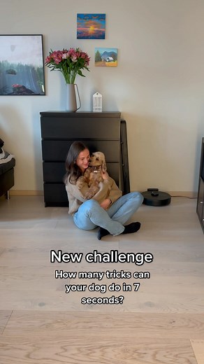 7-Second Cockapoo Challenge: How Many Tricks Can Your Dog Do?