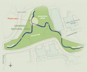 Creek life - Berkeley Engineering