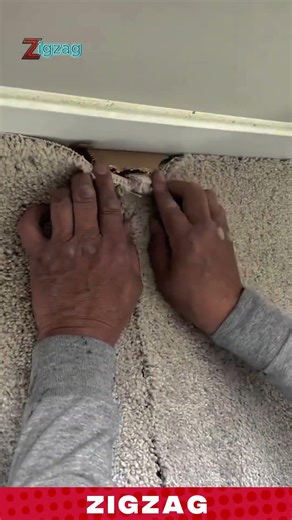 Simple & Precise Carpet Seam Repair Tool for Fixing and Blending Damaged Fibers in Home Flooring