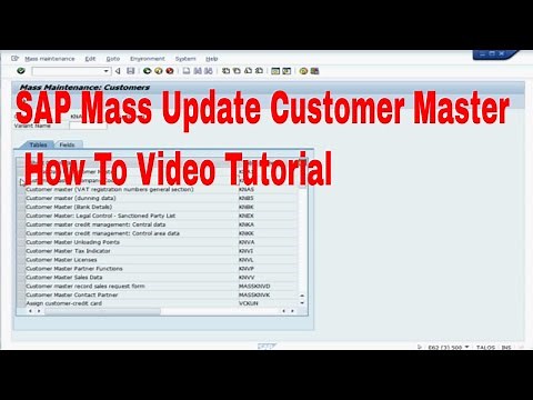 SAP Mass Update Customer Master How To Video Tutorial