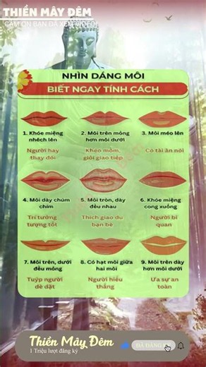 nhạc ngủ ngon , nhạc thiền , nhạc không lời , nhạc remic, nhac bolero lofi