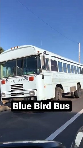 Short Wheel Base Blue Bird Bus.