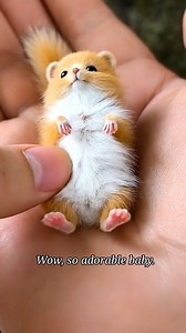 Pure cuteness in the smallest form✨🐾🇺🇸 #Animals #trending #Aitouch | Asep Pahrudin