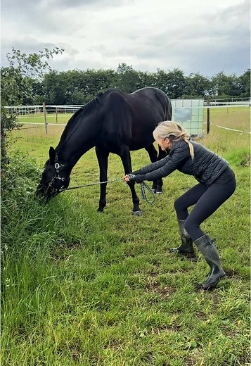 Mein erster Vlog als Pferdemädchen