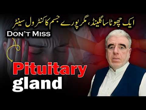 Pituitary Gland Functions Hormones Disorders Symptoms and Treatment Explained for Hormonal Balance
