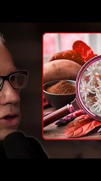 What Is Oxalate Dumping? The Hidden Detox That Could Be Causing Your Symptoms