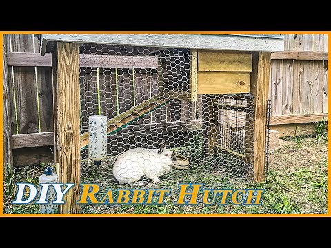 Building A House For Our Rabbit | DIY Rabbit Hutch