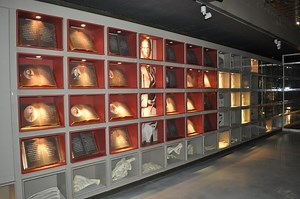 Origins Centre Museum in Johannesburg, South Africa