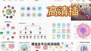 研究生必备的免费科研插图工具——Vecteezy。