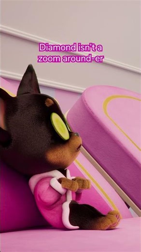 Diamond is more of a lay around-er 🥱 Paris & Pups