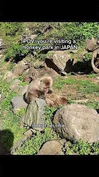 seeing moneys for the first time 🙉📍 jigokudani monkey park in nagano, japan #chunguspov #travelpov