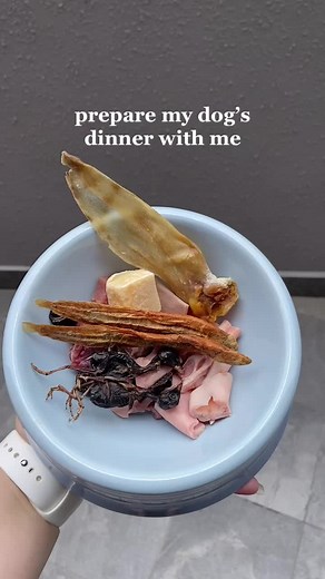 Preparing Blue's Dinner: Feed Fresh Raw Dog Food