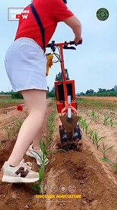 31K views · 128 reactions | Introducing the innovative...