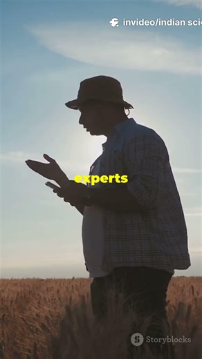 How Tacit Knowledge Builds Water Resilience: Co-Production Secrets for Sustainable Futures! 💧🌍