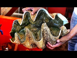 GIANT ALIEN CLAM SASHIMI Street Food Seafood