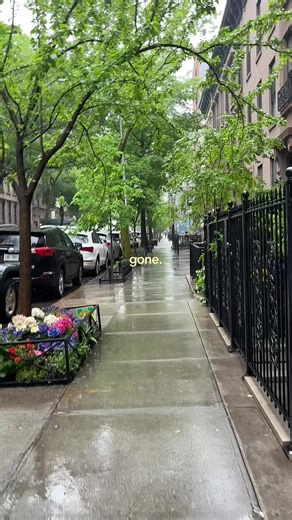 Spring into Summer: Embrace the Changing Seasons