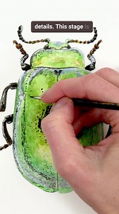 Want to know how to paint this shiny, metallic looking beetle using ordinary non-metallic watercolour paint? It's all in the way you layer the colours. I show you here: https://www.naturestudio.com/metallic-watercolor-paint/ ✨ | Anna Mason Art