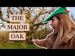 IS THIS THE BIGGEST ATTRACTION IN NOTTINGHAM? (Robin Hood and The Major Oak)