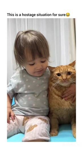 Chonky Cat Reels on Instagram: "The toleration of cat with toddlers ❤️"