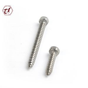 [Hot Item] DIN 7976 Tapping Stainless Steel 304 Hex Head Wood Screw