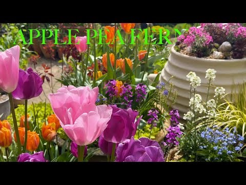 Our Gorgeous Bulb Container Garden Tour, Great Dixter Flower Joy & Wildflower Woods in May