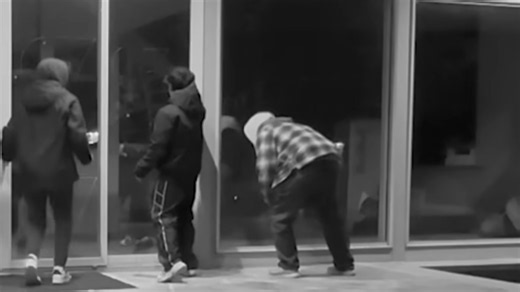 Kids Showed Up To The House - Then The Security Camera Caught The Vandalism In Act