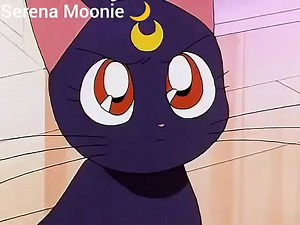 160K views · 16K reactions | Resumen del divertido capitulo 184 de Sailor Moon ❤️ | Serena Moonie | Facebook