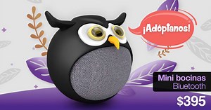 84 reactions · 47 shares | ¿Imaginas tener un búho en casa? Adóptalo...