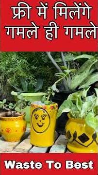 Free में मिलेंगे गमले ही गमले #plants #garden #gardening #viral #trending #short #shorts #shortsfeed