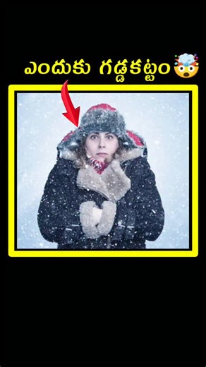 Factopedia Telugu on Instagram: "🤔🤔🤔"