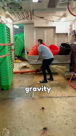 The Physics of Free Fall #shorts