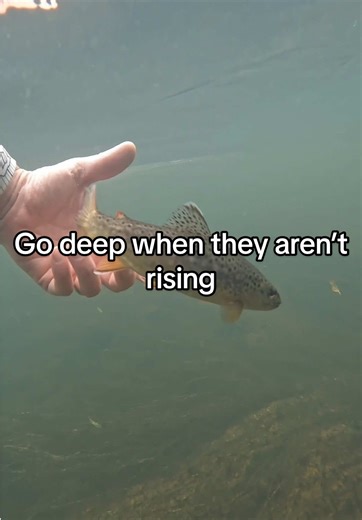 Fly Fishing Tips: Go Deep for Trout Success